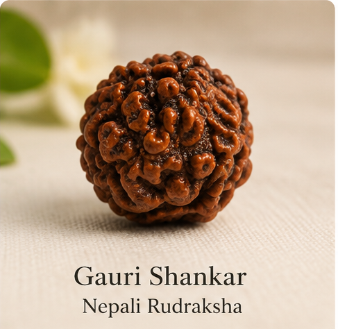 Gauri Shankar Nepali Rudraksha